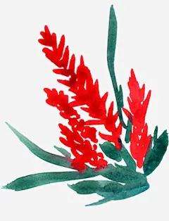 春季手绘水彩花卉手绘彩绘水彩插画高清素材 免抠 设计图片 免费下载 页面网页 平面电商 创意素材 png素材