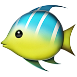 AIJIXNIL采集到emoji