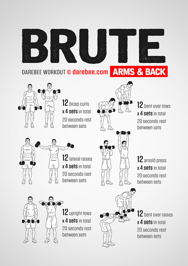 Brute: Arms & Back W...