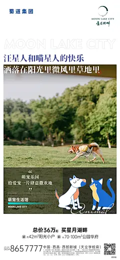 采集图片