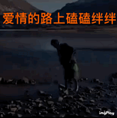 想球球各位姐妹手里的表情包| ᴥ•́ )✧