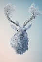 Cernunnos : Continuing a personal series I'm working on of animals photographically manipulated from my landscape photography, this is the latest entry - a stag created from wintery landscapes and frozen trees. Cernunnos is a Celtic god of nature and anim
