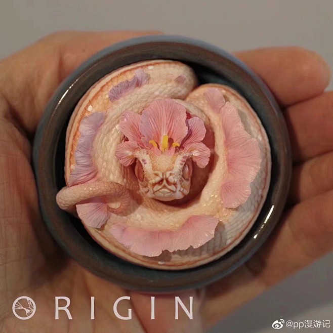 奇幻生物参考  花花  蛇蛇