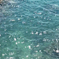 水中光 ​​​​