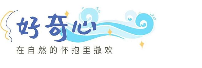 标题7