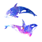 海洋 鲸鱼 PNG 水彩 星空 梦幻 唯美 小清新 手绘 水彩 手帐 插画 蓝鲸 炫彩 背景 免抠图PNG素材，更多素材尽在【点技能】