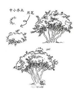 绘画学习 手绘教程。风景线稿！简单入门，快来一起画~ ​#插画艺术作品# ​​​​