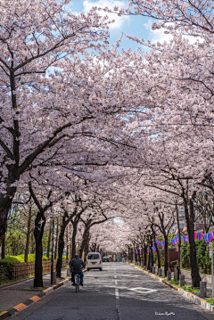 冷光灯采集到景观道路