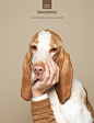 4 Creative Pet Care Print Ads | Sloganmaker.net