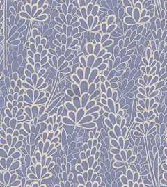 熏衣草,矢量,背景聚焦,香江（越南）,普罗旺斯,自然,有机食品,紫色,图像,壁纸