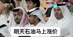 看世界杯了吗？卡塔尔王子们的表情包！