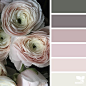 designseeds's photo on SnapWidget : today's inspiration image for { ranunculus mood } is by @firenzaflowers ... thank you, Fiona, for another gorgeous #SeedsColor photo share!