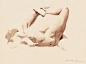 tamara_side.jpg (639×477)·Wendy Artin