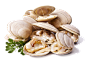 Clams-PNG-File
