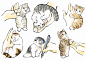 猫猫11