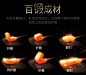 德国ive 大马士革钢刀厨房刀具家用菜刀切肉切片不锈钢切菜刀锋利-tmall.com天猫