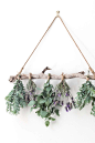 Picture of flowers drying on flower drying rack