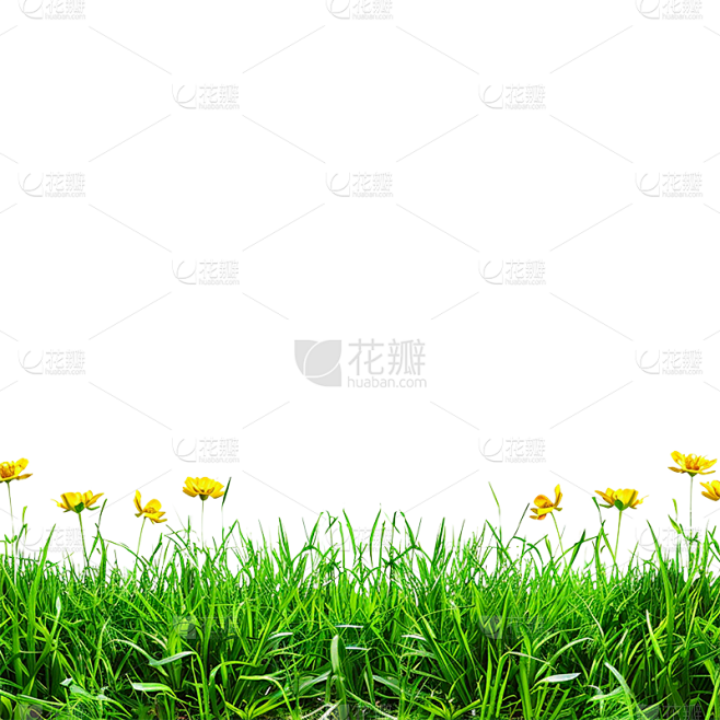 植物通用实景绿色长草地元素素材