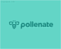 Pollenate