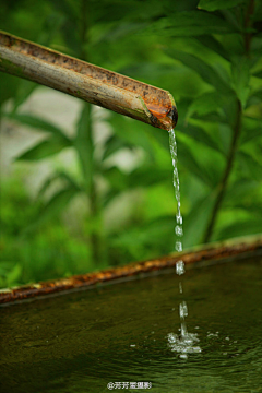 花痴♥小姐采集到落寞成花