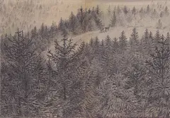 【树木插画系列图集下载】手绘树木作品水彩素描场景案例3500张