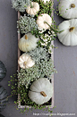 DIY Pumpkin Planter Box                                                                                                                                                                                 More: 