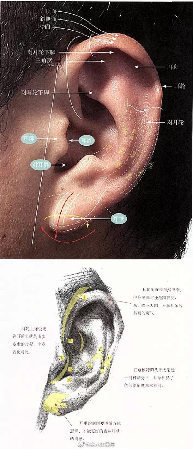 干货 | 素描头像五官的刻画  需转 ​...