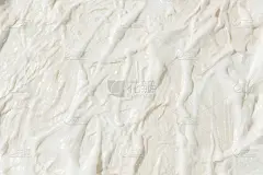 带有纹理背景的素色