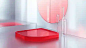 The background is light grey gradient white, underneath is a thin red acrylic plate, on the right there is another thin acrylic plate standing up, underneath is a light grey gradient white mirror, in the foreground is a labware sink, HD, C4D modelling, 3D