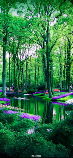 滨水景观-花瓣网|陪你做生活的设计师 | ience