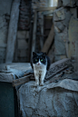 Street people street photography portrait lightroom egypt cairo architecture editorial