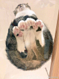                                                        8月，好运。
《幸运猫》——德珊卡·马克西莫维奇 （塞尔维亚诗人）
我的手臂里有一只幸运猫，
它纺织那幸运之线。
幸运猫，幸运猫，
为我做三件事：
为我做一只金戒指...展开全文c                            