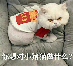 塔普君采集到表情包