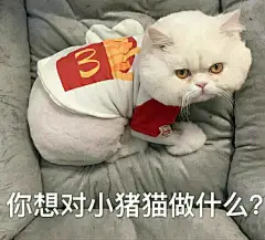 【近期热门表情包原图精选】
标签 
开两枪假装自己也看到人了
只想做条咸鱼
就让我在这冰天雪地里独自心碎
你想对小猪猫做什么？
想粗去玩...展开全文c