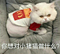 【近期热门表情包原图精选】
标签 
开两枪假装自己也看到人了
只想做条咸鱼
就让我在这冰天雪地里独自心碎
你想对小猪猫做什么？
想粗去玩...展开全文c