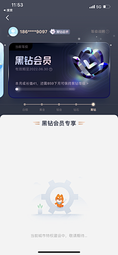 设计界-小杨哥采集到APP(会员中心/VIP/贵族特权等页面)