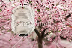 日式灯笼#元宵节# #新年# #正月# #灯笼# #灯谜# #中国传统节日# #节日气氛# #元宵节banner# #元宵节海报# #元宵节设计素材# #元宵节打折# #元宵节背景素材# #元宵# #汤圆#