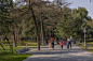 老树的新生，郑州古树苑一期景观提升 / 奥雅设计 – mooool木藕设计网