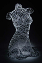 Robert Mickelson栩栩如生的网状玻璃雕塑