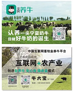 全民养牛名片4342