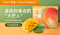 芒果 凯特芒 大忙人