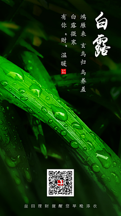 绝对音域采集到白露