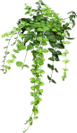 webp(66)