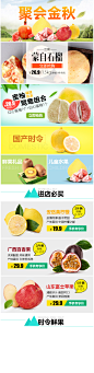 手机端 柚子 蜜柚 石榴 柠檬 苹果