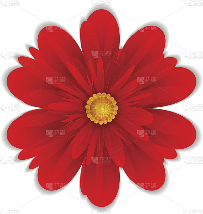 孤花红色