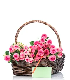 玫瑰花束插花鲜花插画摄影图片