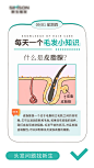 医美植发毛发小知识海报-源文件