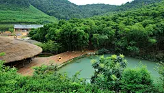 周末度假去处 竹林中的浙江莫干山裸心谷