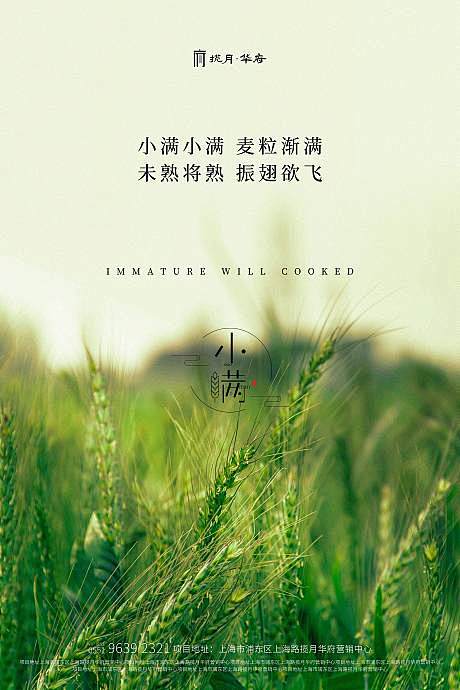 【源文件下载】 海报 小满 小麦 二十四...