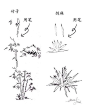 【 一些实用的 植物速写技法… 】